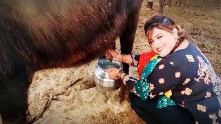 Shehnaz Baloch Urf Janat Rachnavi Tv Actress || Daily Routine || Village Life Vlog || New Video 2025