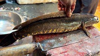 Amazing Big Sola & Travelly Fish Cutting Skills In Fish Market | Fish Cutting Skills