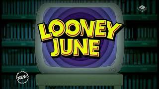 Boomerang UK Looney June 2024 Promo