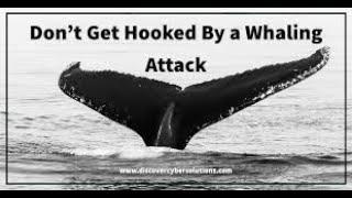 Whaling Attack Explain English