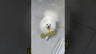 你happy我不happy