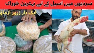 aseel murga ki achi growth ki khurak || Daily diet plan of aseel breeders