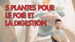 5 PLANTES pour soutenir le FOIE et la digestion