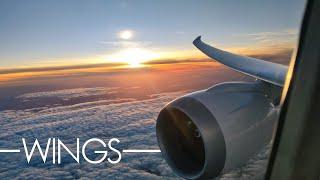 WINGS II - An Aviation Movie (2022)