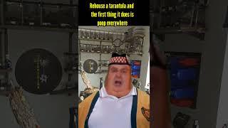 That one tarantula that poops alot #tarantula #youtube #fyp #shorts