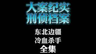 大案纪实【刑侦档案】有声小说 东北边疆冷血杀手