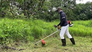 Grass cutting machine | How to start petrol brush cutter