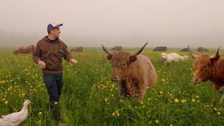 Dag uit het leven van een kleine boerderij