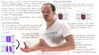 Membrane Channels