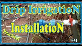 Drip Irrigation   Installation PRACTICAL