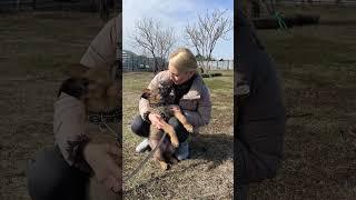 Наш дом в деревне.Открываем сезон
