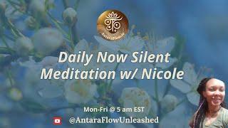 Daily Now 20-Min Silent Meditation w/ Nicole (day 336)