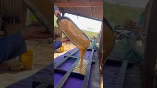 Rapadura no capricho que delícia #fazenda #saboresdaroca #vidanaroça #gado #nordesteecultura