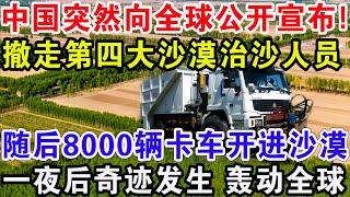 中国突然向全球公开宣布！撤走第四大沙漠治沙人员，随后8000辆卡车开进沙漠，一夜后奇迹发生轰动全球