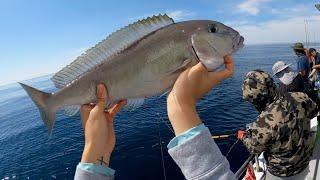 Deep Dropping for Tilefish and Seabass Aboard the Rudee Tours! (2024 Virginia Beach Fishing Trip)