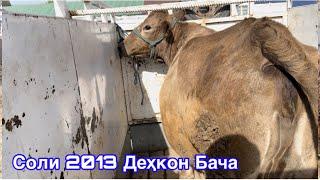 Аз соли 2013 то 2025 чи гап шуд? 24 марта 2025 г.