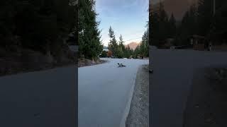 Skate whirlpool ️ #downhillskate #longboarder #longboard #skate #longboarding #skateboard