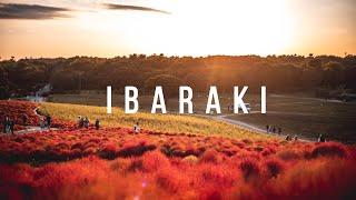 Exploring IBARAKI 茨城 | JAPAN CINEMATIC TRAVEL VLOG