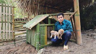 make a house for a dog - khánh / farm building