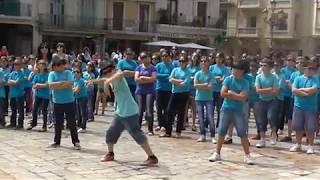 Flashmob Escola Marià Fortuny, Reus