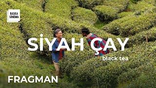 SİYAH ÇAY / BLACK TEA | fragman | 26 Nisan'dan itibaren #BaşkaSinema'da!