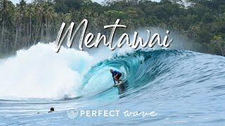 Surfing Mentawai With The Perfect Wave | Andy Potts