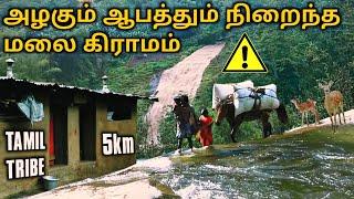 அழிவின் விளிம்பில் அழகிய மலை கிராமம் | Tribal Village in Tamilnadu | Theni | Chinnur Colony | W2TJ