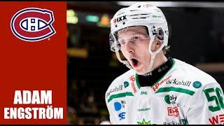 NHL Prospects : Adam Engström - 23-24 Highlights