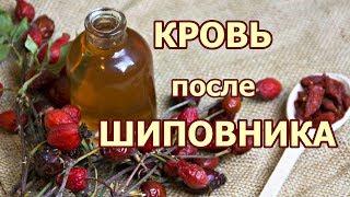 Кровь после шиповника