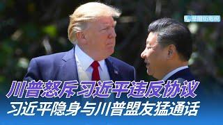 川普怒斥习近平违反协议：好好先生到此为止！习近平隐身与川普盟友猛通话，加速和日本恢复关系；川普上诉速胜：全面关税恢复执行，白宫另有后备方案｜华尔街论坛（晓洋、何频）