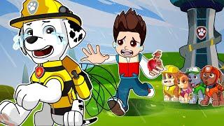 PAW Patrol The Mighty Movie | Why Did MARSHALL Turn Into Bee? Poor Dog! - Very Sad Story | Rainbow 3