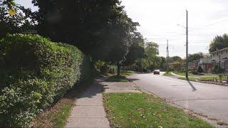 Canada Post stops mail delivery to house over owner's dogs