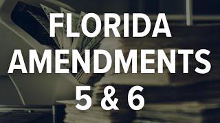 Beyond the Ballot: Here's what Florida Amendments 5 and 6 mean for your money