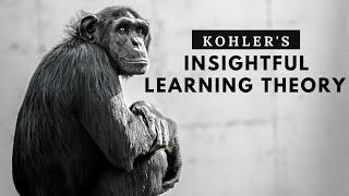 Wolfgang Kohler theory of insightful learning | cognitive theory