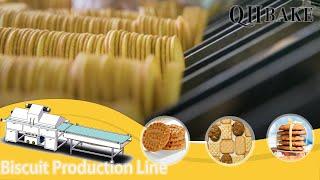 qhbake 400mm hard biscuit making machine,how to make biscuit