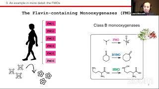 Maria Laura Mascotti – Ancestral sequence reconstruction of cofactor-dependent enzymes