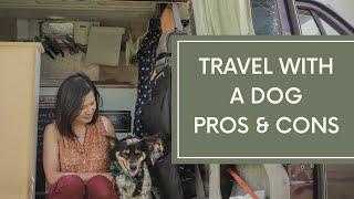 VAN LIFE |TRAVEL WITH A DOG for SOLO FEMALE | Pros and Cons