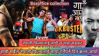 Daanvi 6th Day Boxoffice Collection ll Pujar Sharki Vs Gaun Ayeko Bato ll New Nepali Movie 2024