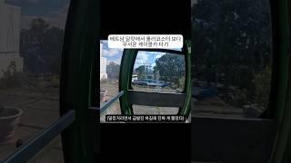 달랏에서 스쿠터 렌트해서 여행다니기~