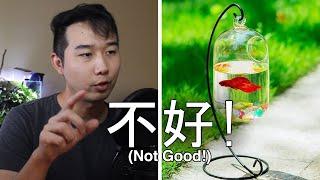 Fish Tank Review BUT IN CHINESE (Eng Subs) | 【 FTR 69】