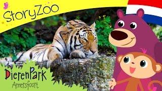 Episode 2 • StoryZoo op bezoek bij de tijgers in Dierenpark Amersfoort