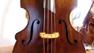 Upton Bass: Concord Model Double Bass Grand Tour