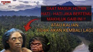 5 HUTAN TERANGKER DI SUMATERA - JANGAN SAMPAI MASUK HUTAN INI