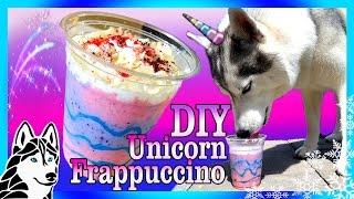 DIY UNICORN FRAPPUCCINO FOR DOGS  | DIY Dog Treats | Snow Dogs Snacks 72