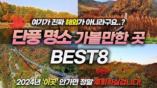 The best place to visit in Korea that you can't miss this fall BEST8(+fall foliage season)