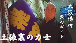 2024.大阪場所。館内楽しみ方。土俵裏で見る力士(how to enjoy sumo in osaka)【大相撲/sumo/Osaka】