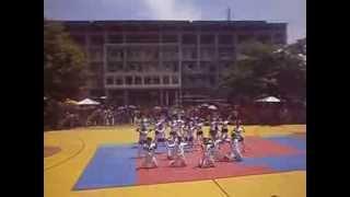 Blazing Phoenix Pep Squad! (College of Education)