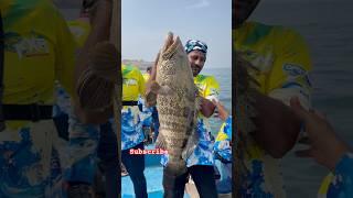 Amazing size grouper caught by Team Malabari in  First deep sea fishing competition by KXA 