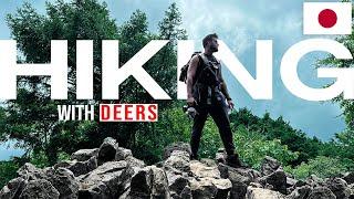 Hiking with deer  II Mt Ryugatake  II Indians in Japan II @amitkandwaldiaries