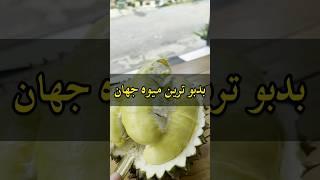 دوریان یا خارگیل نوعی میوه  بومی جنوب شرق آسیا